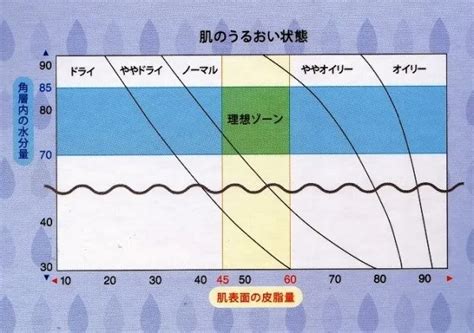 アルビオン 水分 油分 計|【スキンチェッカーで肌の水分量を測定！】本当に私の肌を潤し .